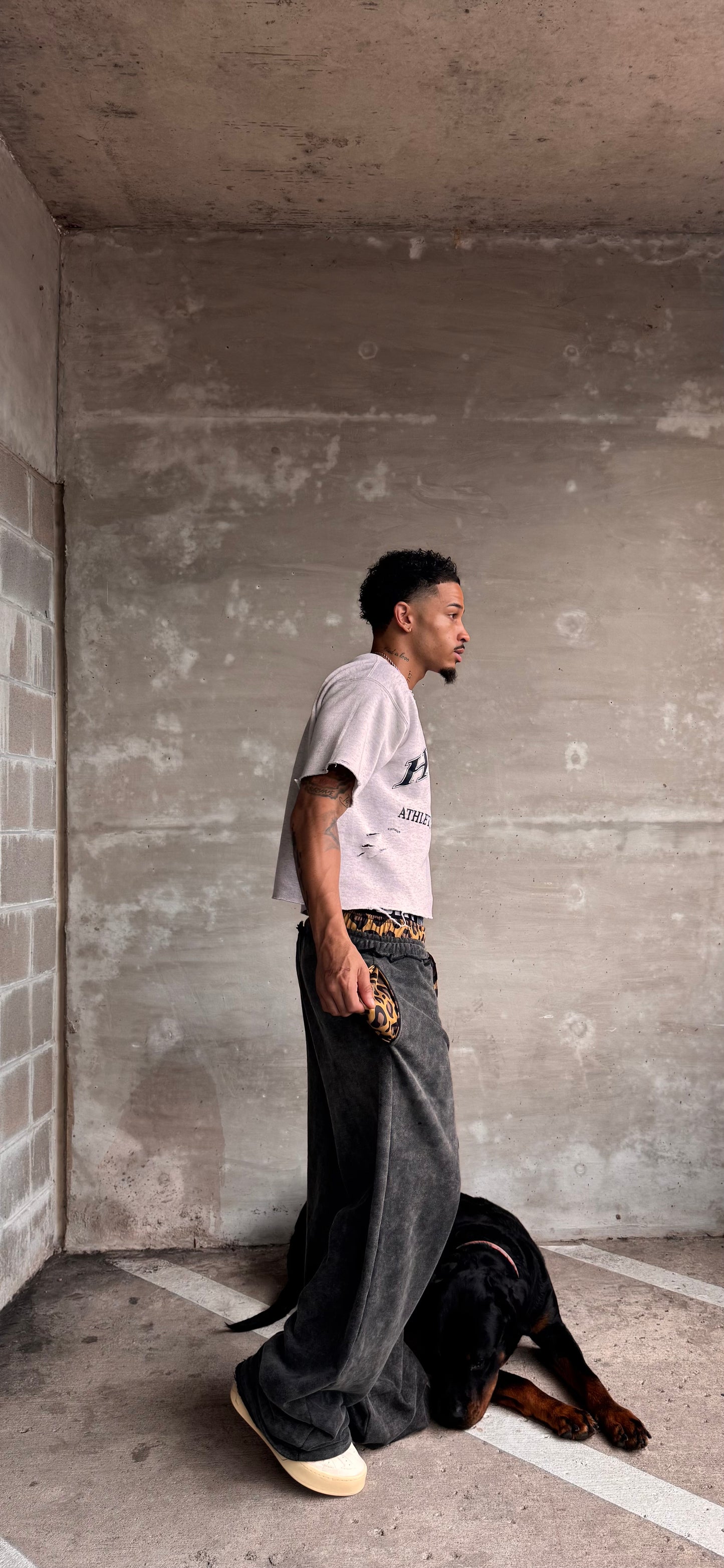 Boulevard Beast 🐆